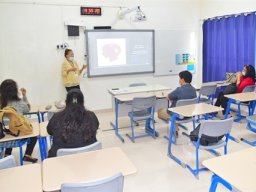 Workshops